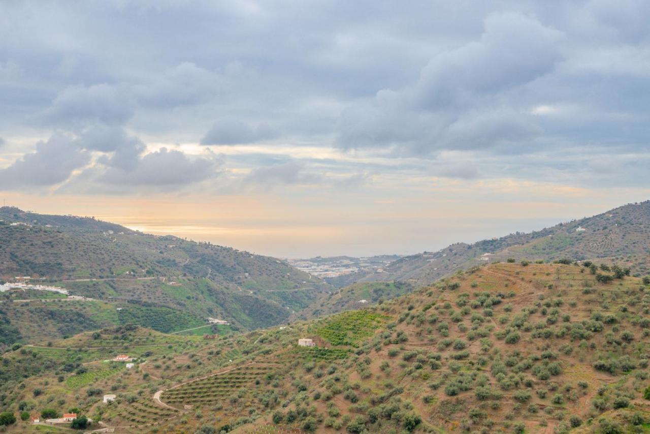 Cortijo La Encina Villa Sayalonga Exteriör bild